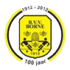 Wappen BVV Borne diverse  80281
