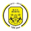 Wappen BVV Borne diverse