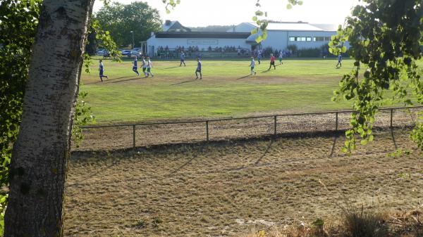 Sportplatz Tauer - Tauer