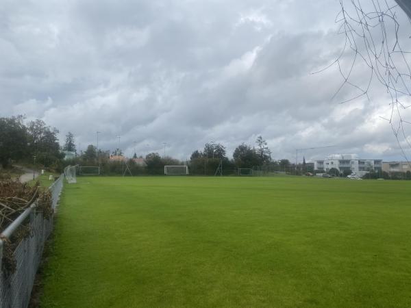 Sportanlage Buchlern Platz 5 - Zürich