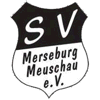 Wappen SV Meuschau 1953 II