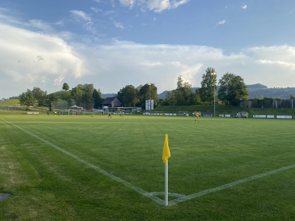 Sportplatz Etzliberg - Thalwil