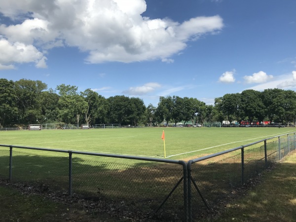 SG-Stadion im Sportzentrum Pfeifferswörth - Mannheim