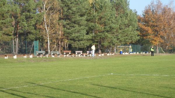 Boisko w Wężyska - Wężyska