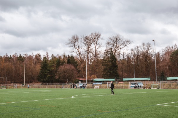 Waldsportpark Platz 2 - Heroldsberg