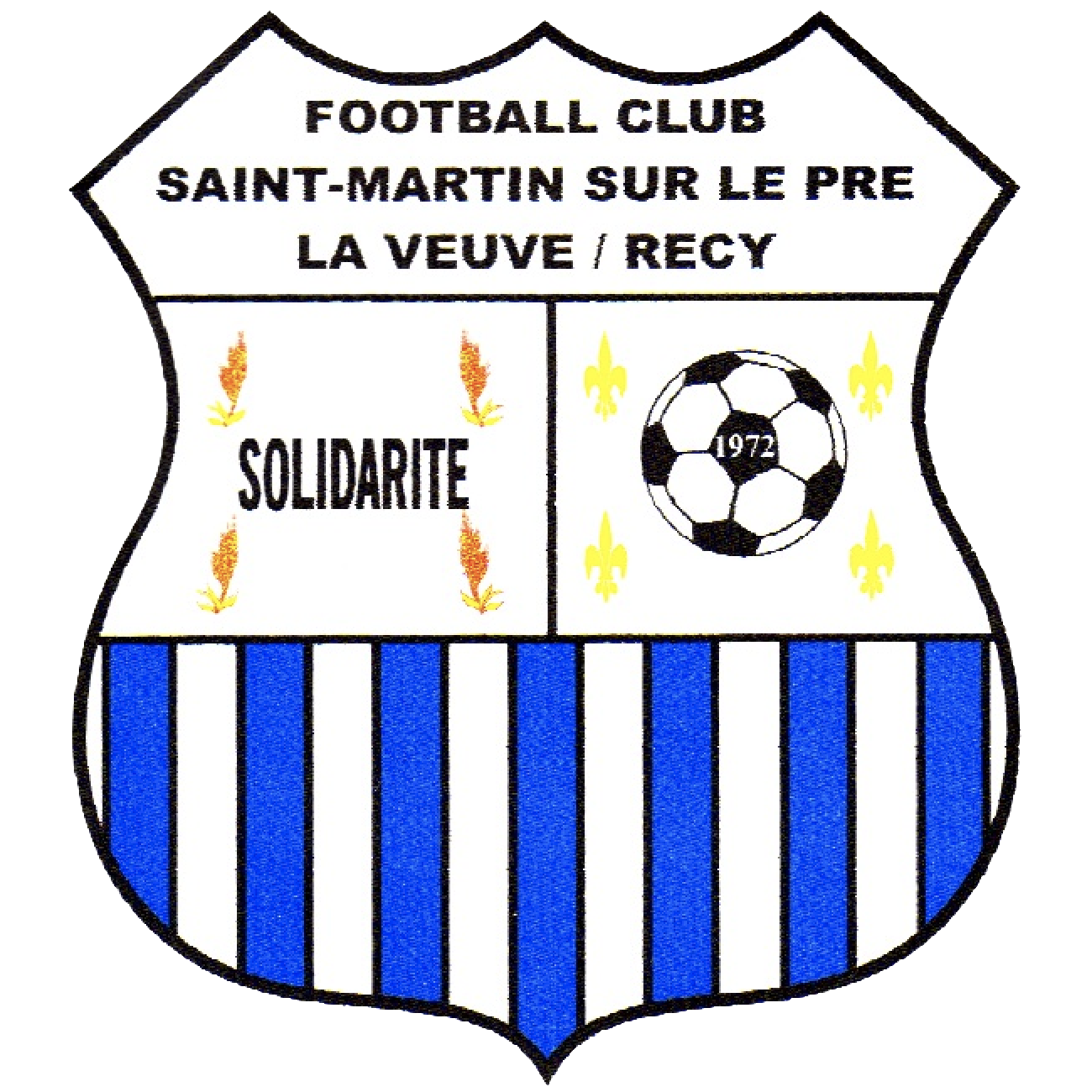 Wappen FC Saint-Martin/La Veuve/Récy diverse