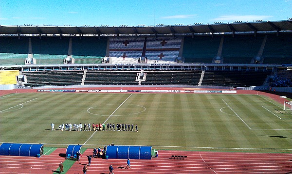 Boris Paichadze Dinamo Arena - Tbilisi