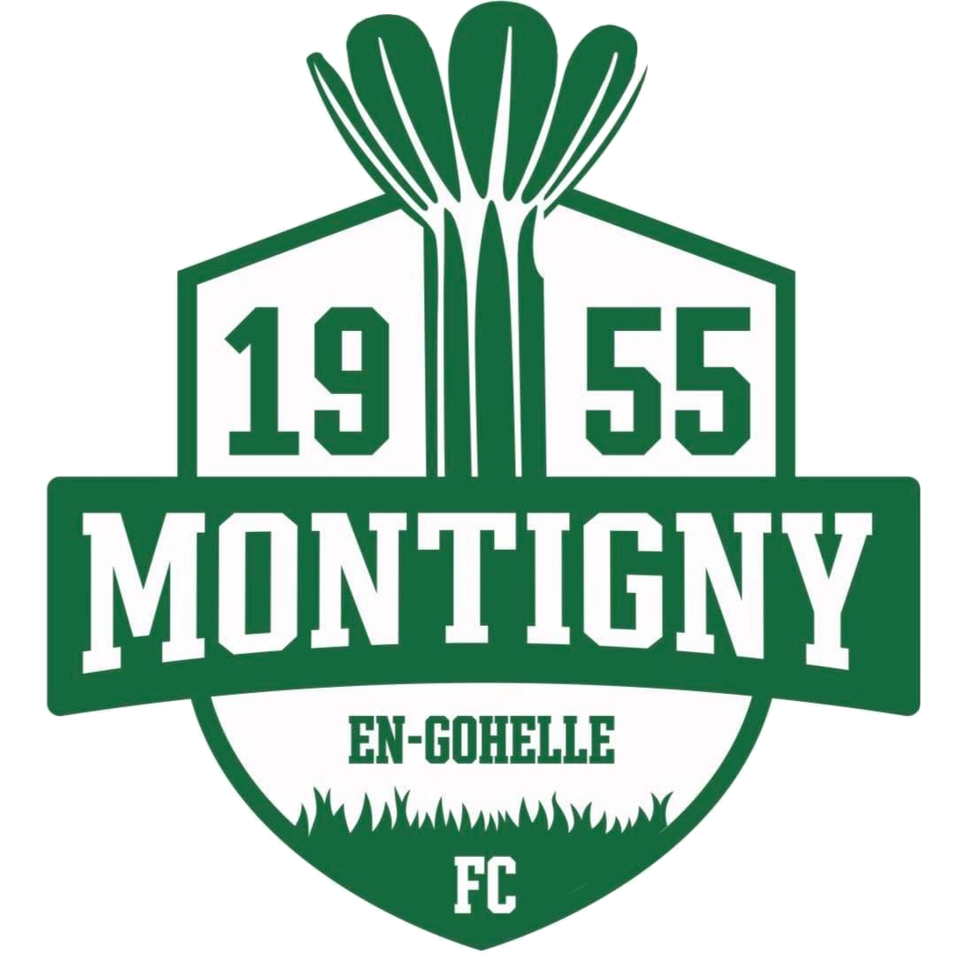 Wappen FC Montigny-en-Gohelle diverse