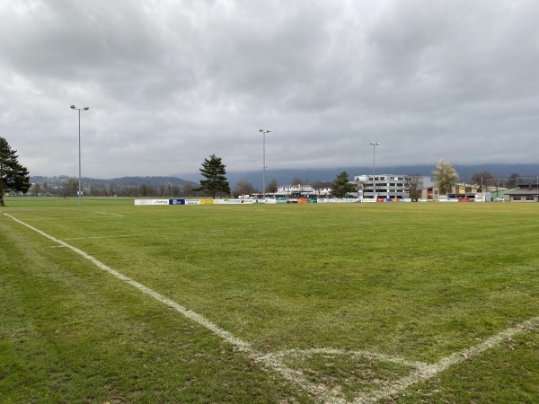 Sportanlage Benknerstrasse Platz 3 - Uznach