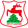 Wappen FSV 07 Lauscha diverse  68018