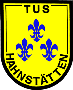 Wappen TuS Hahnstätten 1885 diverse  84410