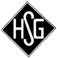 Wappen Holzheimer SG 1920 II