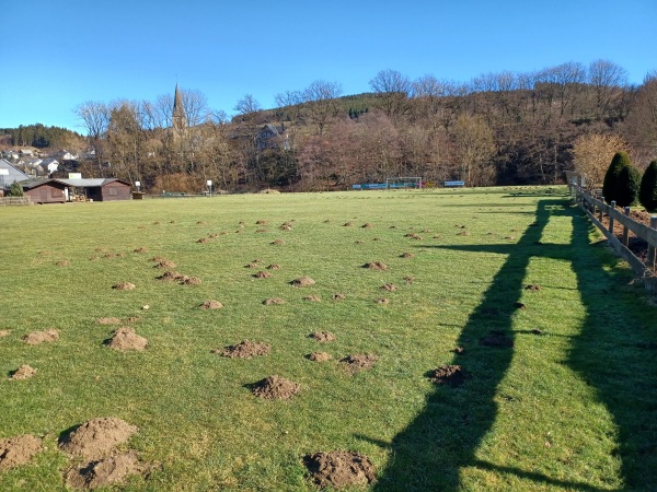 Sportplatz an der Ruhr - Olsberg-Assinghausen