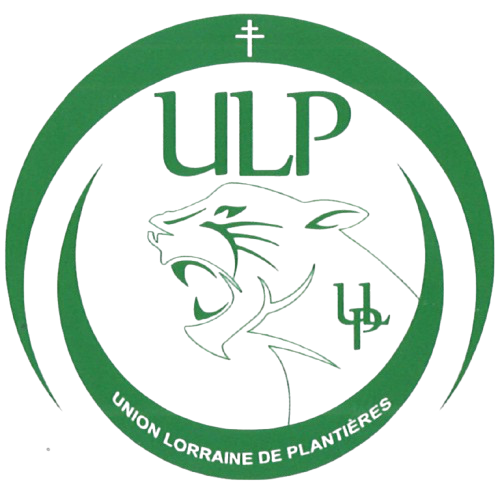 Wappen Union Lorraine de Plantières diverse