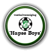 Wappen VV Hapse Boys  48693
