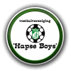 Wappen VV Hapse Boys