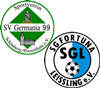 Wappen SG Schönburg/Possenhain/Leißling II (Ground A)