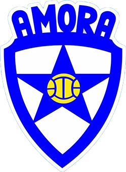 Wappen Amora FC diverse