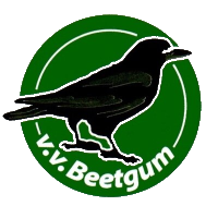 Wappen VV Beetgum diverse  76962