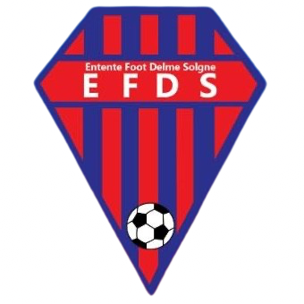 Wappen EF Delme Solgne diverse