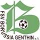 Wappen FSV Borussia Genthin 1992 diverse