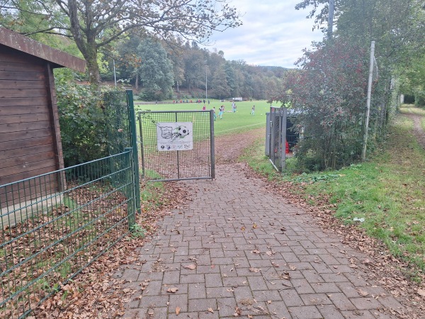 Sportplatz Wiesenweg - Arzbach