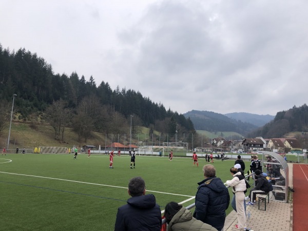 Reichenbachstadion Nebenplatz - Freiburg/Breisgau-Kappel