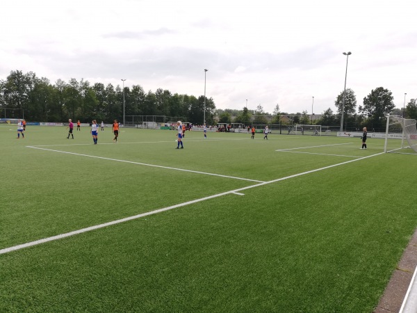 Sportpark De Peppel veld 2 - Drachten