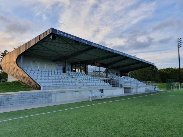 Henning Have Stadion - Vejen