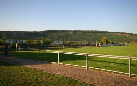 Stadion Römische Weinstraße - Leiwen