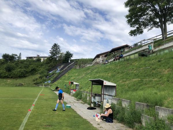 Stade des Ruvines - Cully