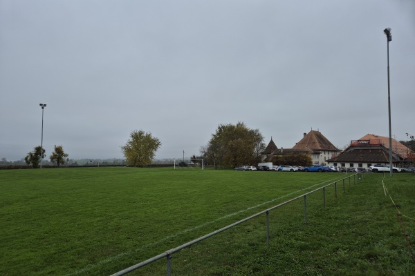 Terrain de la Cour - Bonvillars