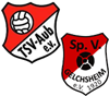 Wappen SG Aub/Gelchsheim (Ground B)  120236