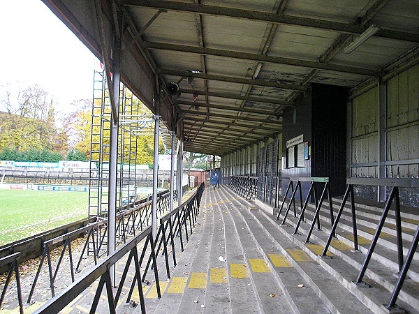 Gay Meadow - Shrewsbury, Shropshire