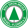 Wappen BSV Grün-Weiß Flüren 1949 II