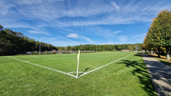 Centre Sportif de la Bécassière terrain C - Versoix