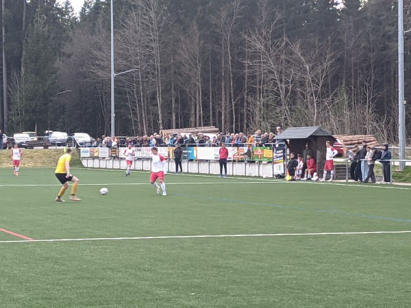 Sportplatz an der Saiger Höhe - Lenzkirch-Saig