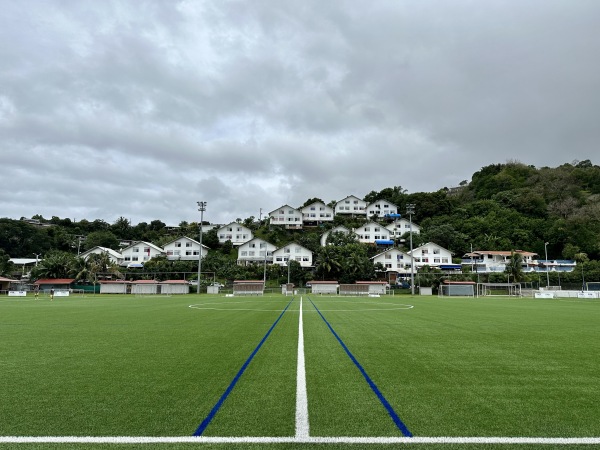 Terrain synthétique de Fédération Tahitienne de Football - Papeete