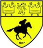Wappen Newmarket Town FC Reseves