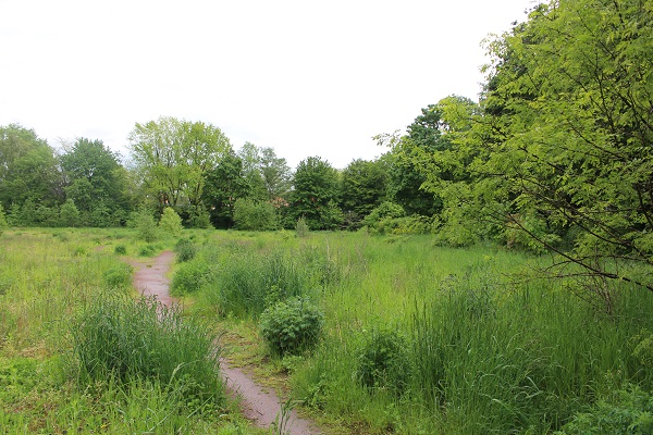 Sportplatz Klosterhardter Straße - Oberhausen/Rheinland-Klosterhardt