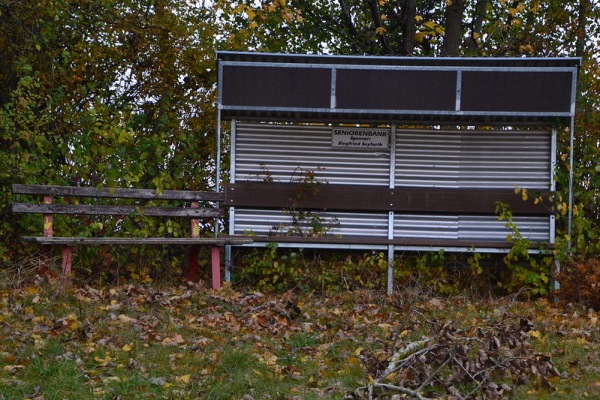 Waldsportplatz - Ilmtal-Weinstraße-Pfiffelbach