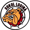 Wappen TJ Sokol Losiná diverse