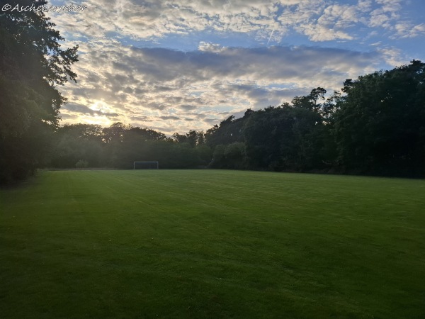 Sportanlage Am Wildpark Platz 2 - Sommerhausen
