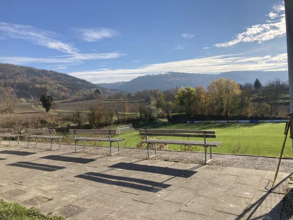Sportanlage Palmengasse - Friesenheim/Baden-Oberweier