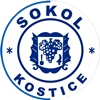 Wappen TJ Sokol Kostice B