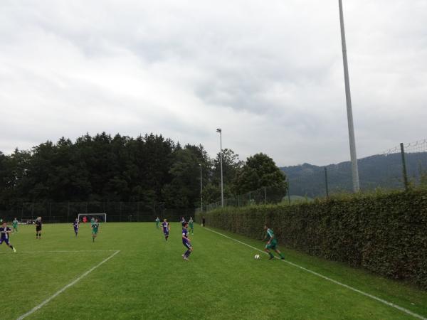 Trainingsplatz Hallwang - Hallwang