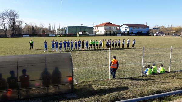 Stadionul Nicu Moraru - Giarmata