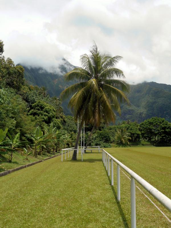 Stade de Afareaitu - Afareaitu