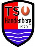 Wappen TSU Handenberg diverse  138317