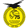 Wappen SV Duiveland diverse  115785